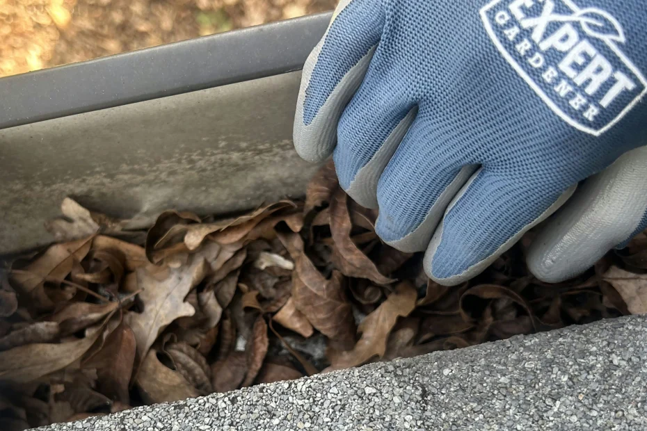 Gutter Cleaning Manvel, TX