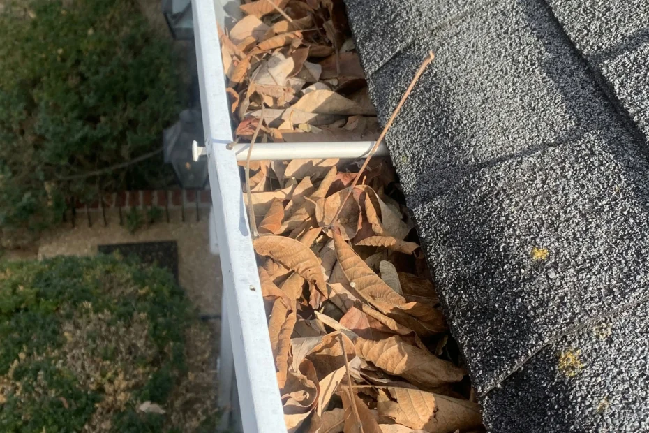 Gutter Cleaning Manvel, TX